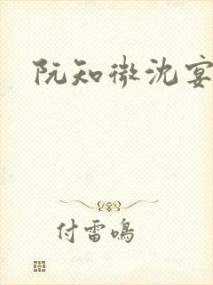 阮知微沈宴电竞