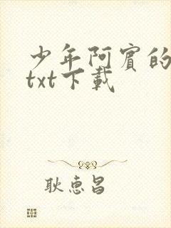 少年阿宾的故事txt下载