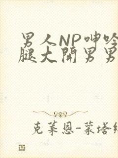 男人NP呻吟双腿大开男男小说
