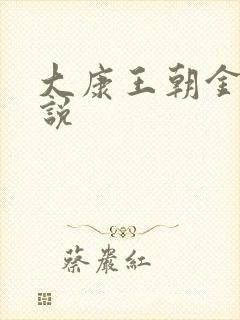 大康王朝金峰小说