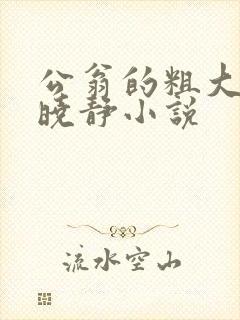 公翁的粗大放进晓静小说