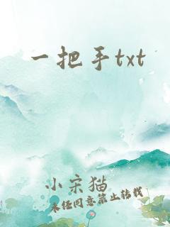 一把手txt