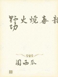 野火烧春 龙鸣功