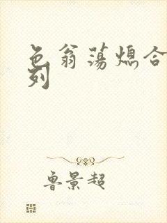 色翁荡熄合集系列