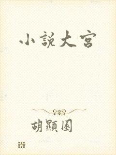 小说大宫
