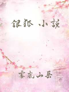 银狐 小说