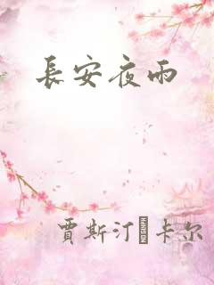 长安夜雨