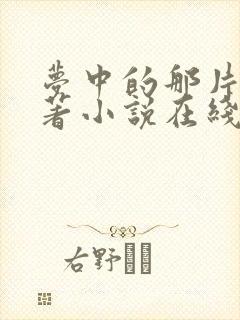 梦中的那片海原著小说在线阅读