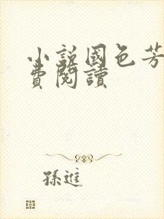 小说国色芳华免费阅读