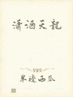 潇洒天龙