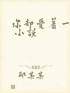 你却爱着一个他 小说