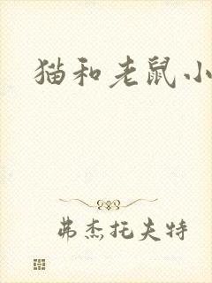 猫和老鼠小说
