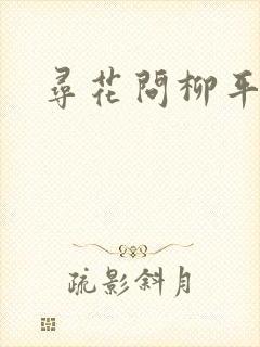 寻花问柳平天下