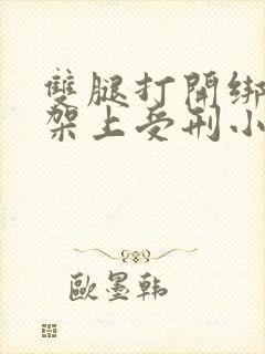 双腿打开绑在刑架上受刑小说