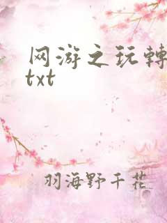 网游之玩转宇宙txt