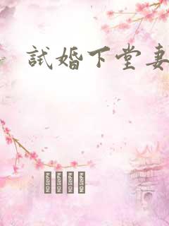 试婚下堂妻