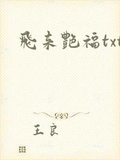 飞来艳福txt