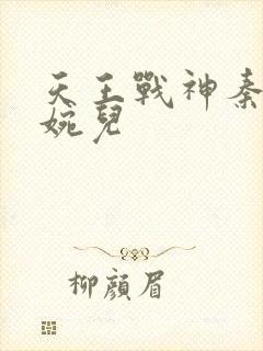 天王战神秦武林婉儿