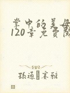 掌中的美母版主120章免费阅读