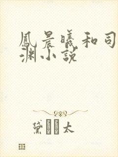 凤晨曦和司鸿颜渊小说