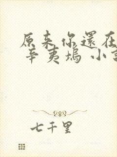 原来你还在这里 辛夷坞 小说