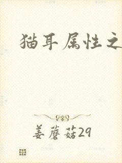 猫耳属性之妖护