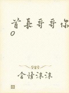 首长哥哥你好po