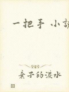 一把手 小说