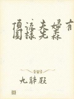 顶流夫妇有点甜图样先森