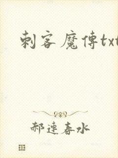 刺客魔传txt