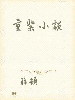 重紫小说