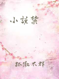 小说禁