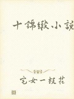 十锦缎小说