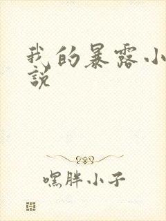 我的暴露小说小说