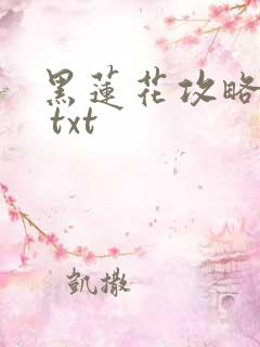 黑莲花攻略手册 txt