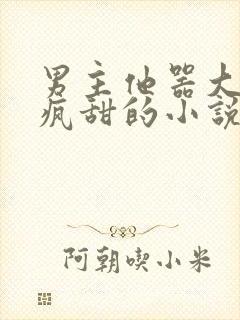 男主他器大活好疯甜的小说