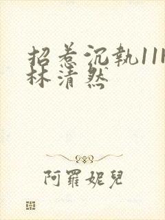 招惹沉执11H林清然