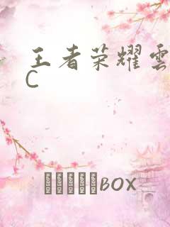 王者荣耀云缨被C