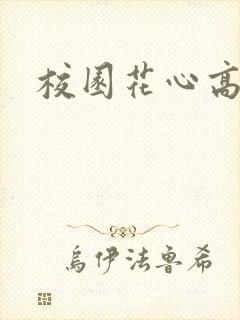 校园花心高手