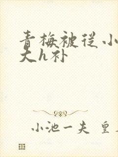 青梅被从小摸到大h补