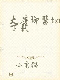 大唐御医txt下载