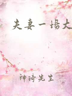 夫妻一场大结局