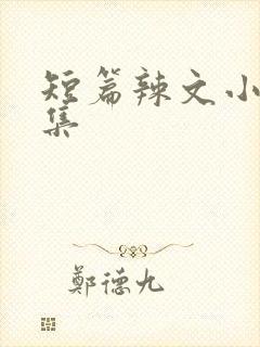 短篇辣文小说合集