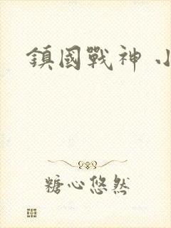 镇国战神 小说