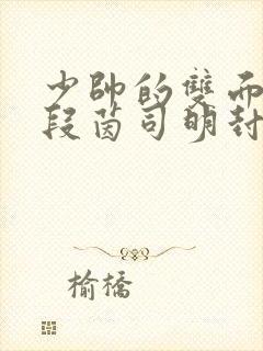 少帅的双面宠妻段茵司明封免费