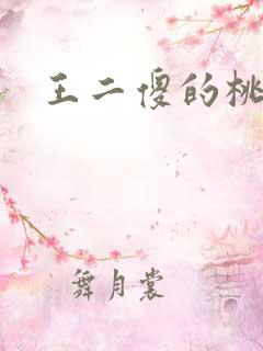 王二傻的桃花运