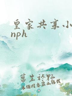 皇家共享小公主nph