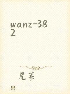 wanz-382