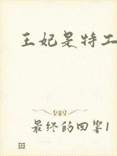 王妃是特工