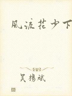 风流花少下载